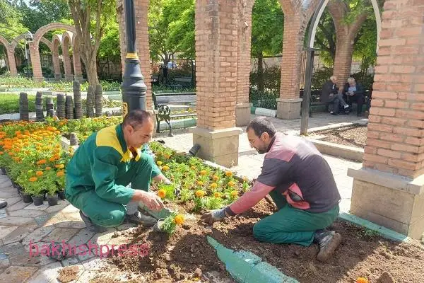 کاشت گلهای فصلی در بوستان خاقانی