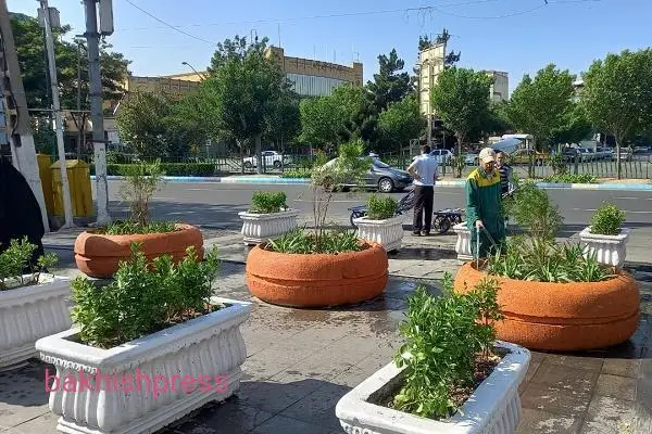 نصب 40 باکس گل در سرای گرجیلر بازار